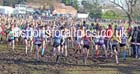 Girls under-13s Inter Counties Cross Country,  Cofton Park, Birmingham. Photo: David T. Hewitson/Sports for All Pics